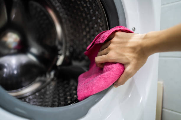 Best Mold Prevention Services  in Cloverly, MD