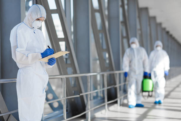 Environmental Consulting for Mold Prevention in Cloverly, MD